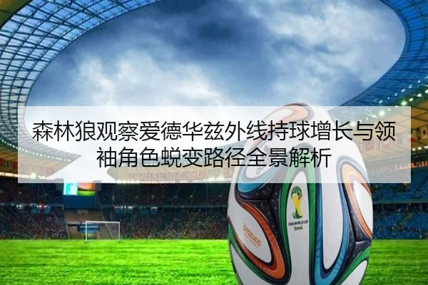 森林狼观察爱德华兹外线持球增长与领袖角色蜕变路径全景解析