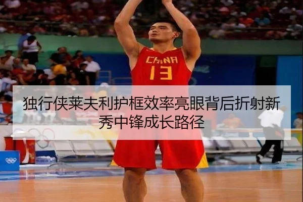 独行侠莱夫利护框效率亮眼背后折射新秀中锋成长路径